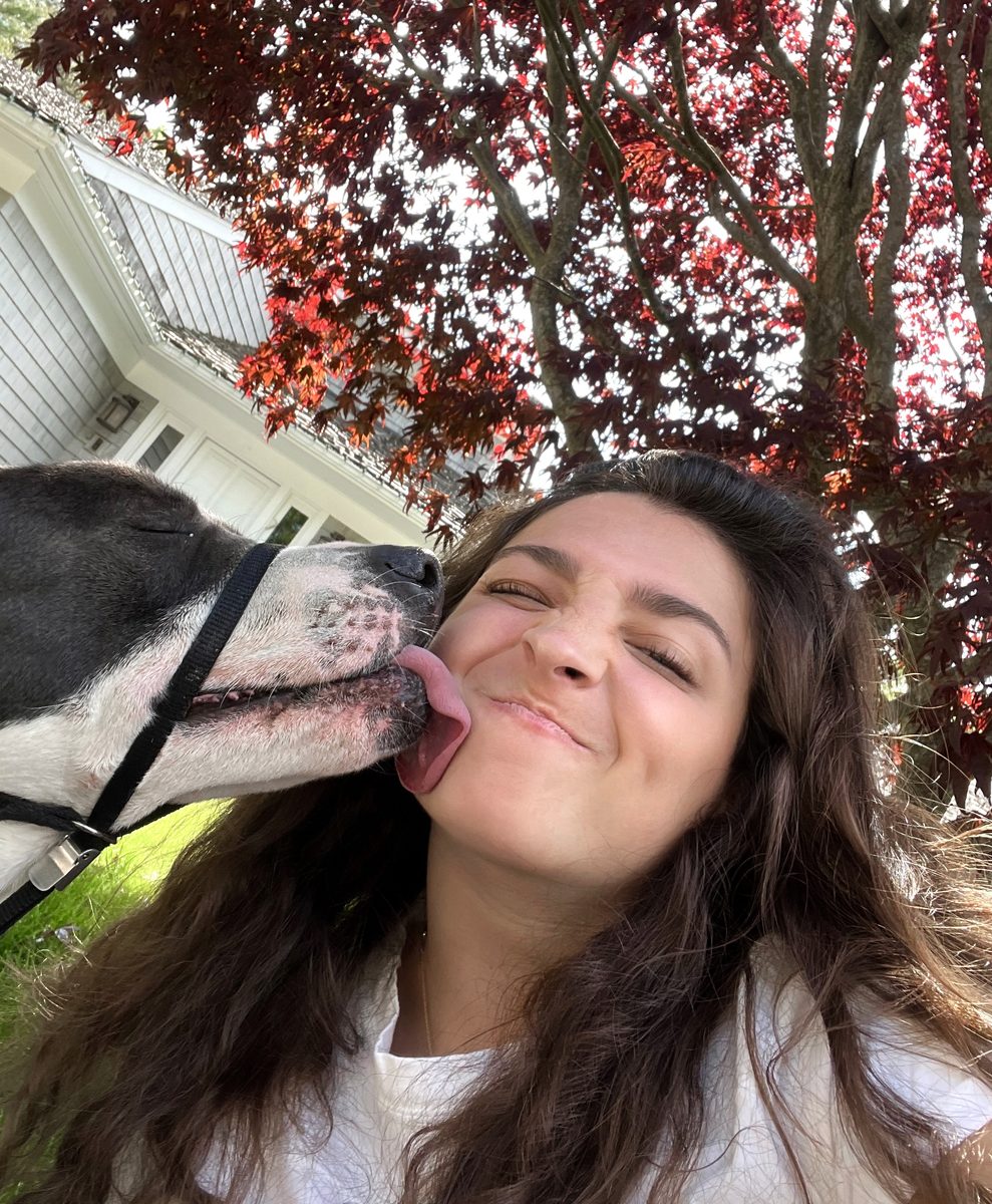 Founder Pippa Kok getting a kiss on the cheek from a happy dog